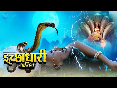 Ichchadhari Nagin ( इच्छाधारी नागिन ) | Superhit Naag Nagin Web Series Short 2024 | Kivi TV