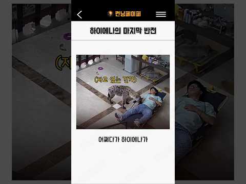 하이에나의 마지막 반전