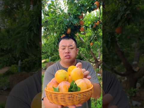 Appreciate nature's beauty! 🍊🍓🍌🍎🍇 #shorts #nature #fruit #garden #vegetables #foryou #shortvideo