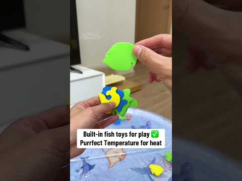 Grab your AquaKitty Mat at Lavensi!🥰💦  #catsofyoutube #cat #catbed #play #pets # #funnycats