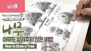 (나무 ④) 나무, 아무도 알려주지 못했던 비법