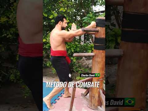 Nocaute c Interceptação ? #mma #jeetkunedo #martialarts #kungfu #kravmaga #wingchun