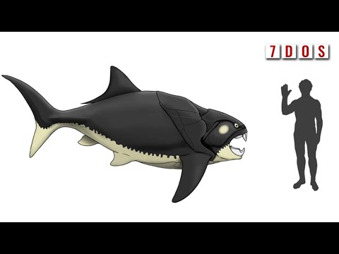 The New Look of Dunkleosteus | 7 Days of Science