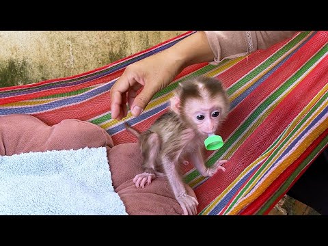 Maddox first day home