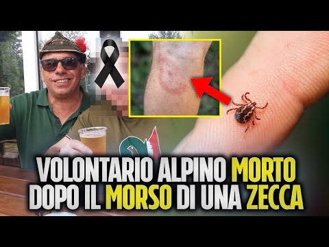 VOLONTARIO ALPINO MORTO DOPO IL MORSO DI UNA ZECCA: RICCARDO AVEVA 57 ANNI