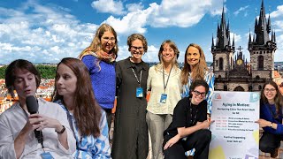 Jak přetvářet města, která nejsou pro všechny? (Navigating Cities That Aren’t Built for All) Moshpit