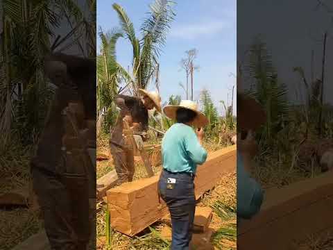 Fazendo cocho🤠 #trabalho