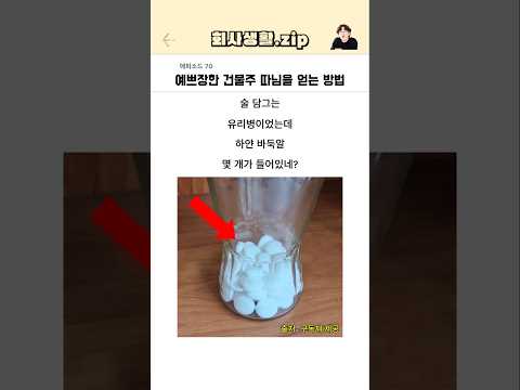 예쁘장한 건물주 따님을 얻는 방법