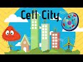 Cell Organelles and Their Functions