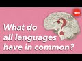 Understanding Universal Grammar and Language Acquisition