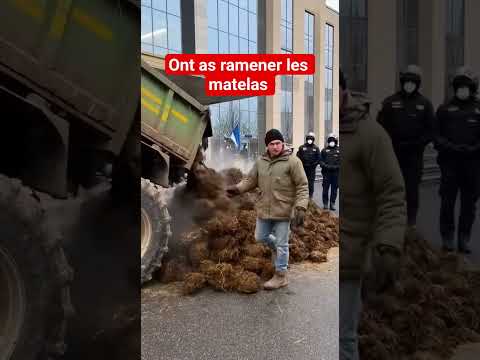 Ont as ramené les matelas #actualités #info #shorts #short