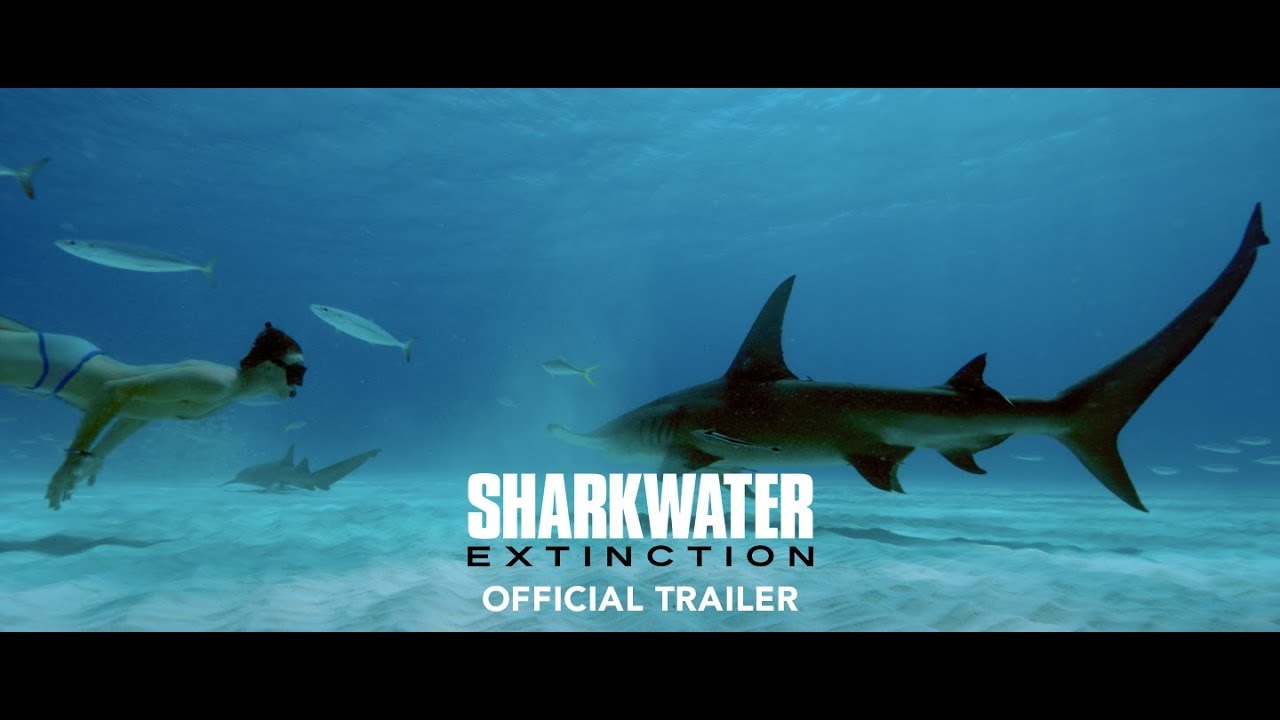 Sharkwater Extinction Trailerin pikkukuva
