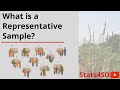 Sampling Methods and Bias in Research