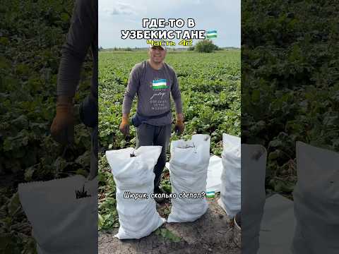 Где-то в Узбекистане. Часть 42. #узбекистан