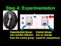 Scientific Method and Redi's Experiment