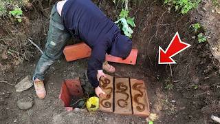 We Found a Very Mysterious Treasure With a Metal Detector❌ (Big Treasure Hunt )