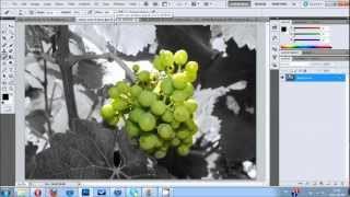 Photoshop Objet couleur sur photo noir et blanc