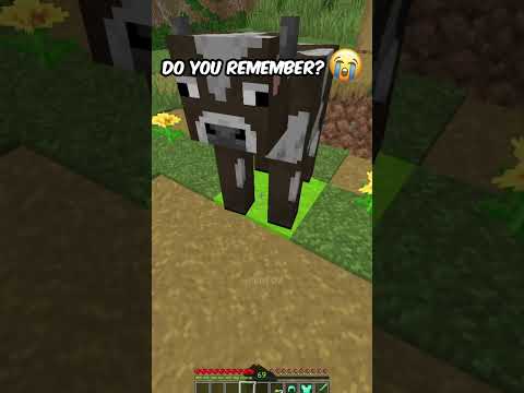 Do You Remember.. 🥺 #shorts #minecraft
