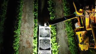 California Winery Reel 2023