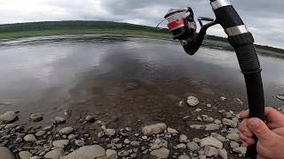 видео