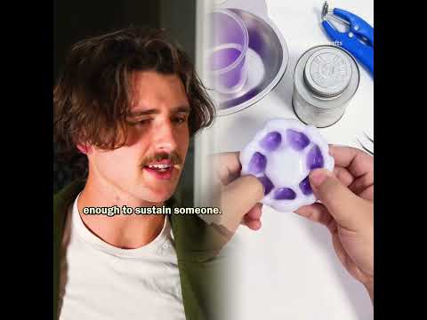 When they can’t take a hint