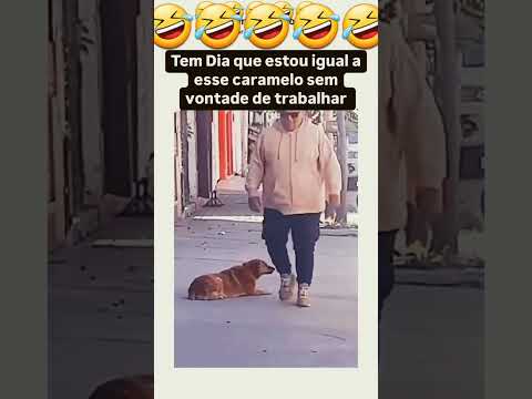 🤣🤣