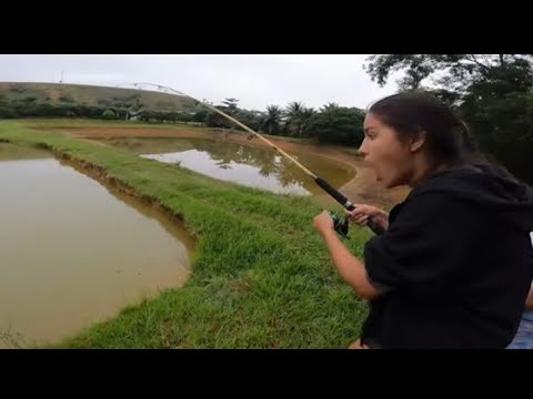 NÃO ACREDITO QUE PESQUEI ESSE PEIXE DESSE TAMANHO.