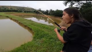 NÃO ACREDITO QUE PESQUEI ESSE PEIXE DESSE TAMANHO.