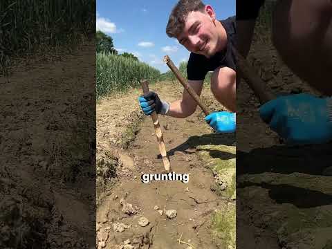 Как добыть червей из земли за минуту 🪱🎣