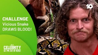 How Will Nick Cummins Score In 'The Honey Badger'?🐍🩸 I'm A Celebrity...Get Me Out Of Here! Australia