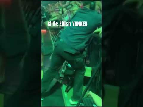 Billie Eilish yanked into barrier@Louisdadon_ #billieeilish #viral