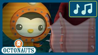Vampire Squid 🧛🎶 Creature Report Song 🦑 OCTONAUTS Kids Cartoon Music