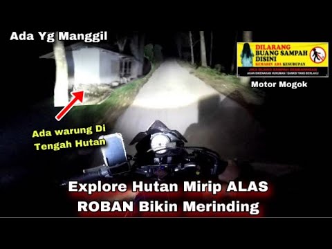 KAGET ADA YANG MANGGIL 😱‼️ EXPLORE ALAS ROBAN BANDUNG, Perlu Nyali Tinggi Lewat Hutan Konon Seram 😱