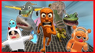 一番速いブレインロットを決めるレースに参加するロブロックス‼️【 ROBLOX / ロブロックス 】【 Tung Tung Tung Sah