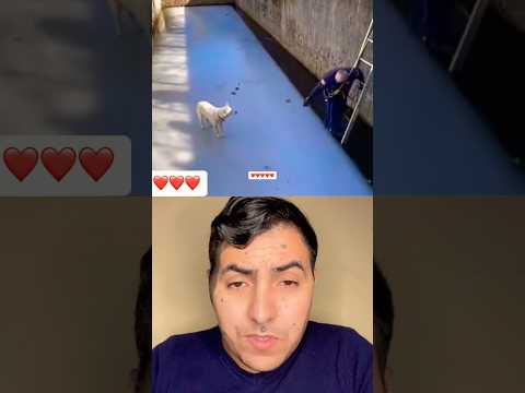 تصرف رائع #duet #الرجل #دويتو #bassou #اكسبلور #الارجل #stitch #ارجل #funny