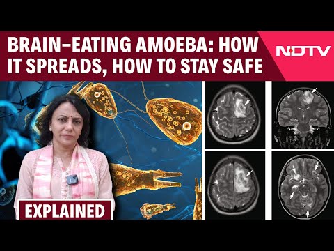 Ameoba | Kerala Reports 19 Deaths from 'Brain-Eating Amoeba': How It Spreads, How to Stay Safe