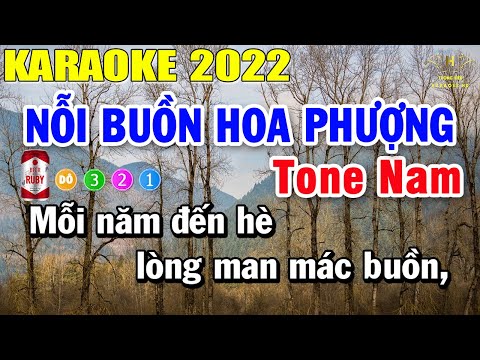 Nỗi Buồn Hoa Phượng Karaoke Tone Nam Nhạc Sống | Trọng Hiếu