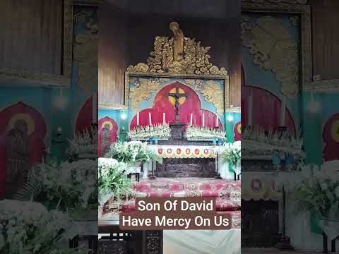 Jesus Christ have mercy on us#trending #jesuschrist #redeemer #savior #ytshorts