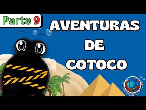 ELE AINDA ESTÁ DESAPARECIDO! VICE VAI SE SURPREENDENTE COM ESSA HISTÓRIA Aventuras de Cotoco