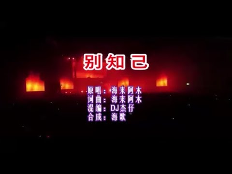 海來阿木 《別知己（DJ抖音版）》 KTV 導唱字幕 （備有伴奏視頻）