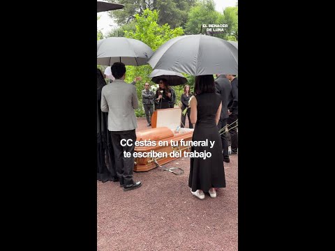¿Qué tan absorbente es tu trabajo? #ElRenacerDeLuna