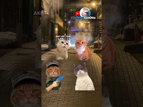 Manusia terbaik nomor satu #shorts #catmeme #funny