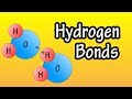 Properties and Interactions of Water