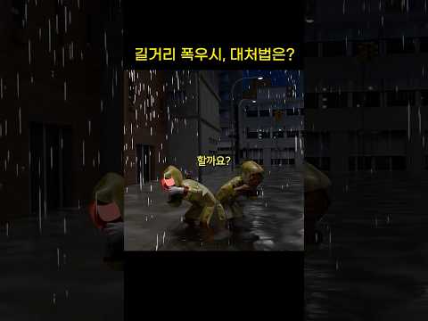 길거리 폭우시, 대처법은…