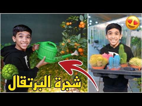 صار عدنا شجرة البرتقال الياباني ! ( اشترينا انواع الزرع الطبيعي ) 😍🔥