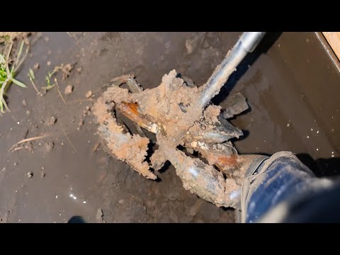 红树林里全都是老螃蟹，2斤一只算小的，阿梅一人挖都挖不完！#海村小梅 #海村小梅官方频道 #渔民生活