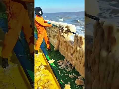 Phillies land All-Star closer Jhoan Duran ahead of MLB trade deadline ๐๐ฅ #jhoanduran