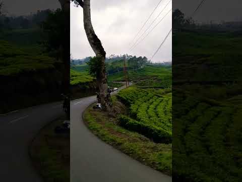 Kun fayakun #fypyoutubeshorts #foryou #fyp #nature #doamustajab #doaislam #viralvideo #viralshorts