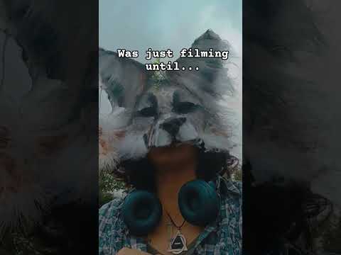 NAHHH WHYY😭😭🖐 #roadto2k #therian #theriangear #furry #funny #selfexpression