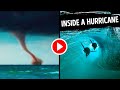 Understanding Hurricanes and Marine Life